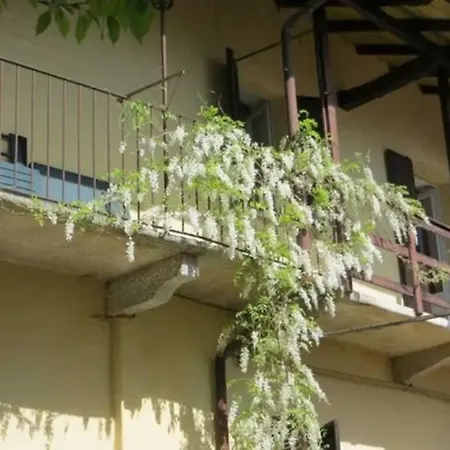 Il Lavatoio 벨지라테