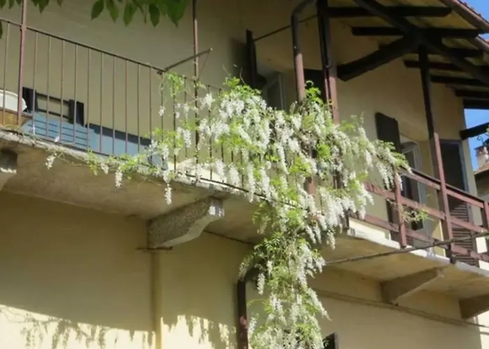 Il Lavatoio Belgirate
